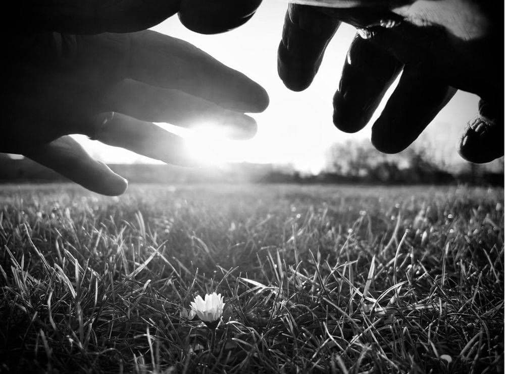 Beeld dat past bij een reiki behandeling.